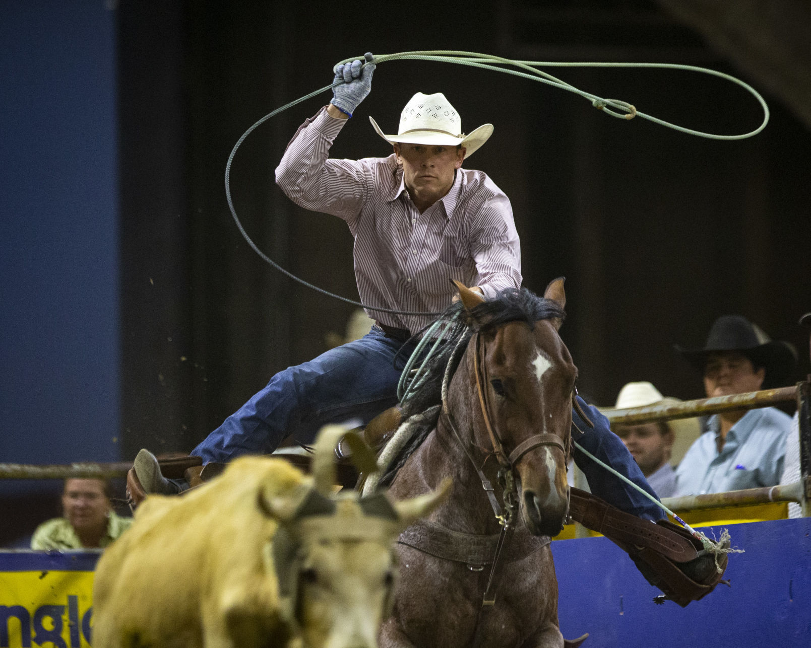 Wrangler Team Roping Championship